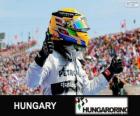 Льюис Хэмилтон празднует свою победу в Венгрии Grand Prix 2013